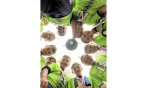Congratulations to the 2024 U12 Boys Copper Group winner at the PA West Edinboro Open Tournament!